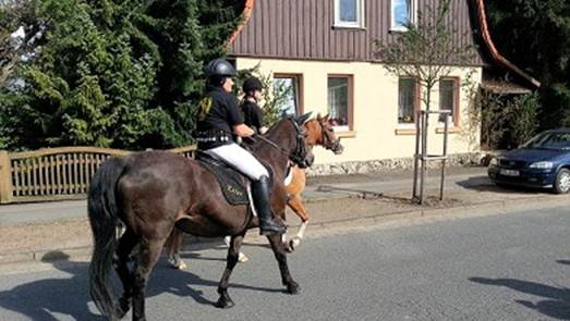 Beschreibung: Beschreibung: C:\SV OG Walkenried\Schtzenfest\20120811_163903.jpg